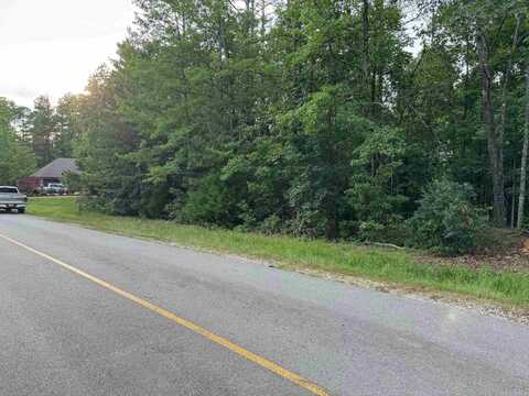 51 ELCANO, Hot Springs Village, AR 71909