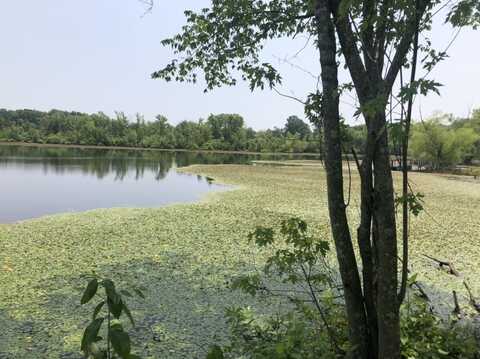 676 County Road 403, Alton, MO 65606