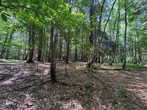5757 State Highway 7, Oneonta, NY 13820