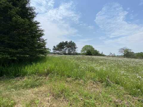 7020 HILLMAN ROAD, SIX LAKES, MI 48886