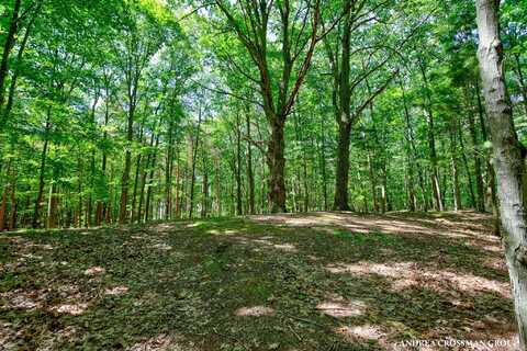 0 STONEBRIDGE TRAIL, FENNVILLE, MI 49408