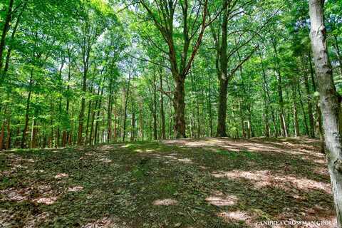 0 STONEBRIDGE TRAIL, FENNVILLE, MI 49408