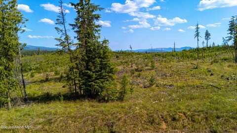 Lot 8 Sportsman Rd, Saint Maries, ID 83861