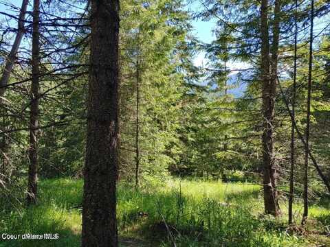 Nka Railroad Grade Rd, Saint Maries, ID 83861