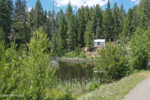 347 Ryan Lp, Saint Maries, ID 83861