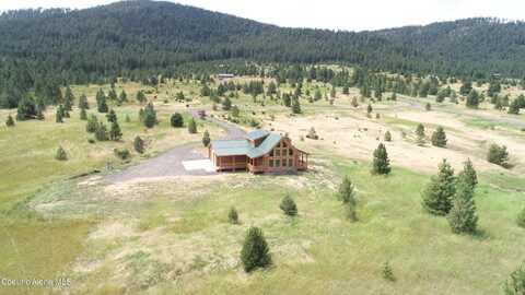 293 VINE MAPLE, Desmet, ID 83824