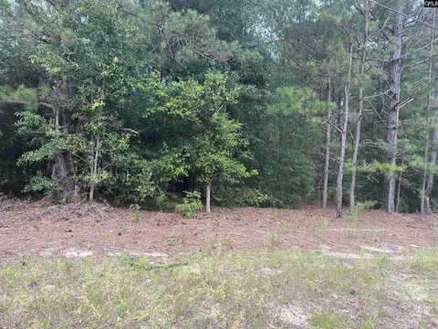 TBD Festival Trail Road, Salley, SC 29137