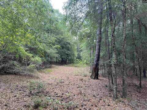 TBD Weathersby Road, Salley, SC 29137