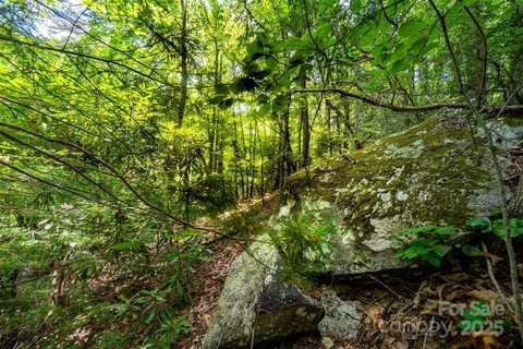 Foster Hill Drive unit: 3, Hendersonville, NC 28739