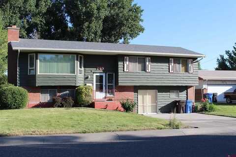 709 York Street, Montrose, CO 81401