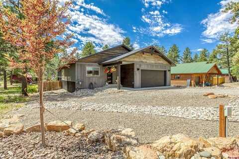 791 Antelope Avenue, Pagosa Springs, CO 81147