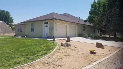 7095 Buena Vista Road, Delta, CO 81416
