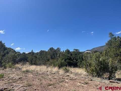 TBD Arapahoe Road, South Fork, CO 81154