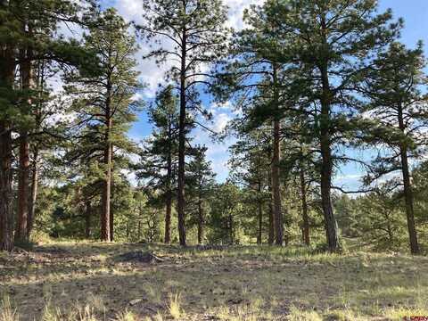 Lot 10 Poplar Place, Ridgway, CO 81432