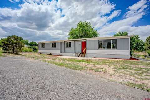 2765 Applewood Drive, Rye, CO 81069
