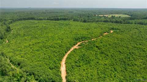 143 ACRES OLD PEACH ORCHARD Lane, Meherrin, VA 23954