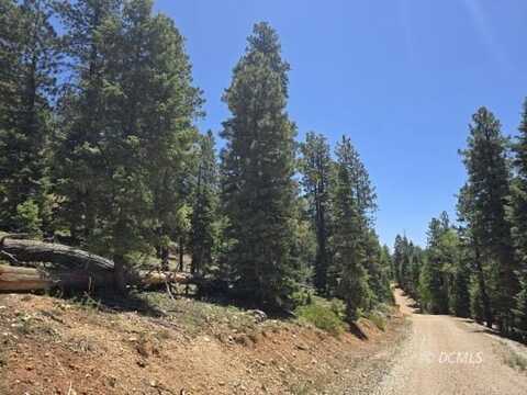 55 S Silver Spruce Dr, Duck Creek Village, UT 84762