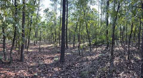 J W Hollington Road, Freeport, FL 32439