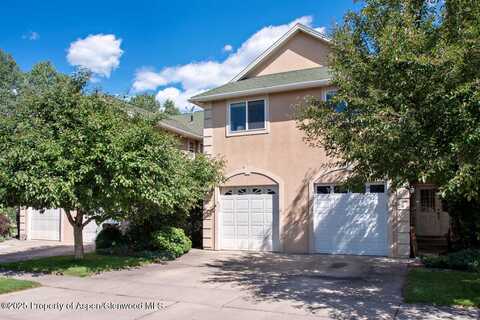 1199 VITOS Way, Carbondale, CO 81623