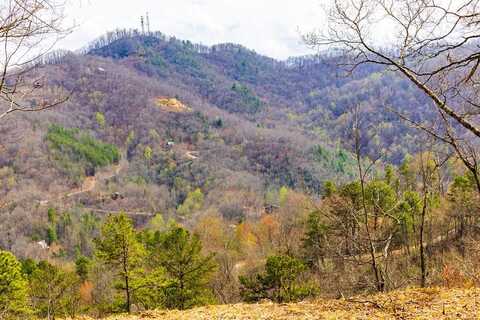 Lot 1 Butternut Ridge, Bryson City, NC 28713