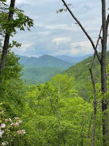 Lot 4 Butternut Ridge, Bryson City, NC 28713
