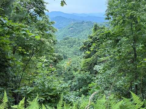 Lot 7 Butternut Ridge, Bryson City, NC 28713