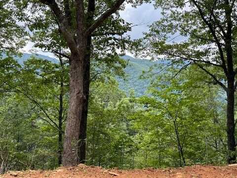 Lot 12 High Springs, Bryson City, NC 28713