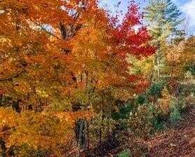 0 Edinborough Court, Ellijay, GA 30143