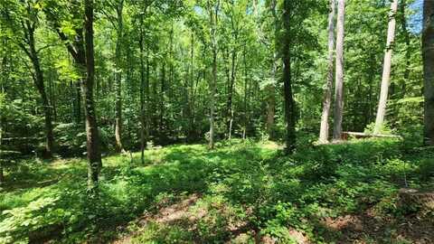 134 Cicero Trail, Dawsonville, GA 30534
