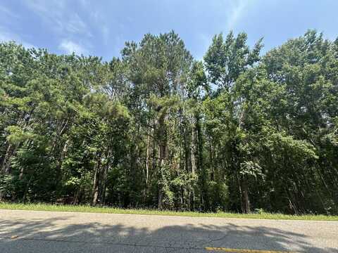 Lot 1-e Ridge Road, Appling, GA 30802