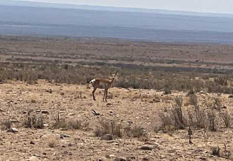 Rolling Hills Lot 47, San Antonio, NM 87801