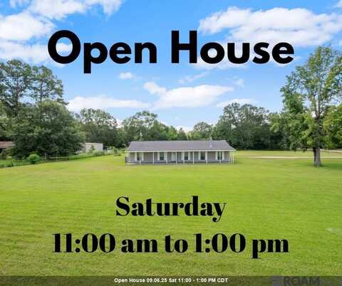 10118 Saray Dr, Denham Springs, LA 70706
