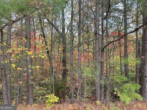 125 Spring Lake, White, GA 30184