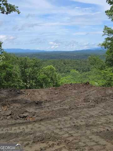 1176 Jewel, Ranger, GA 30734