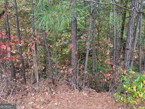 123 Spring Lake, White, GA 30184
