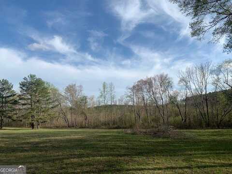 0 County Rd 290, Muscadine, AL 36269
