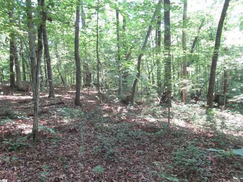 205 Gauley Falls Road, Pickens, SC 29671