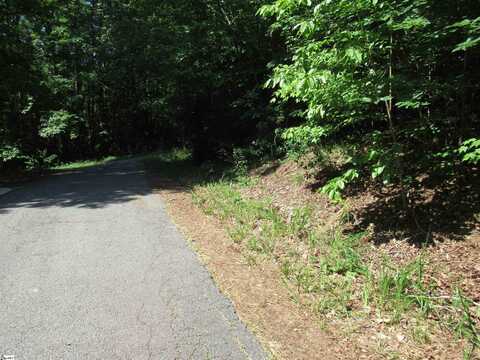 00 Gauley Falls Road, Pickens, SC 29671