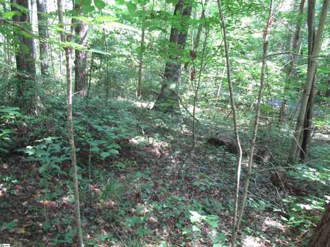 00 Gauley Falls Road, Pickens, SC 29671