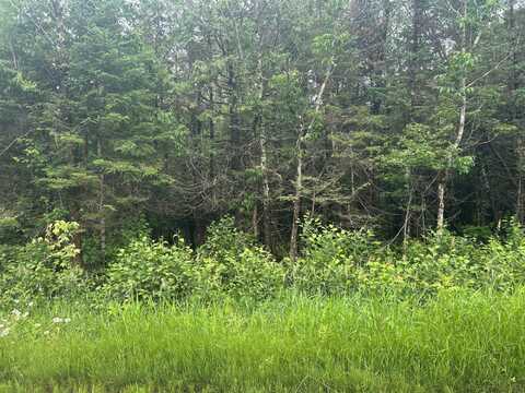 5 Ac On. WORSECH RD, Catawba, WI 54515