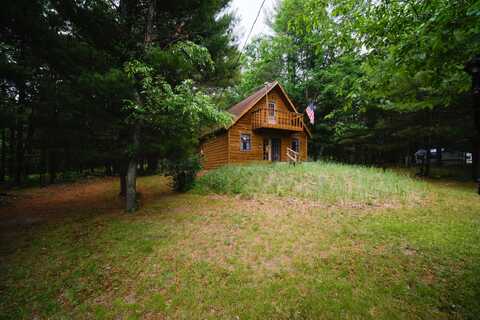 5680 E Shores Drive, Free Soil, MI 49411