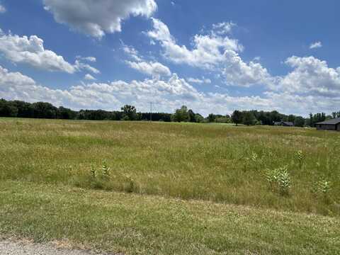 649 Blackberry Drive, Coldwater, MI 49036