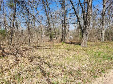 Tbd S Princeton Way Avenue, Baldwin, MI 49304