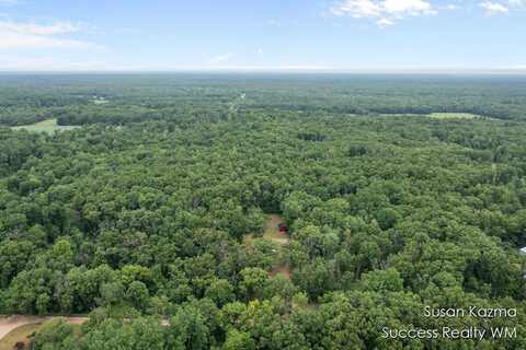 10 W Waterwheel Road, Pierson, MI 49339