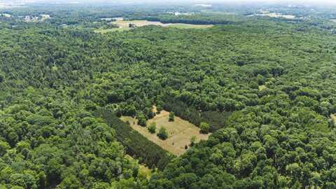 V/L 215th Ave, Stanwood, MI 49346