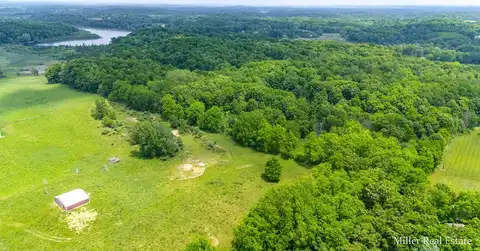 V/L Lammers Road, Delton, MI 49046