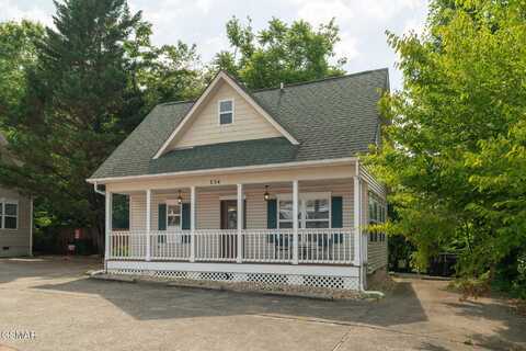 134 Roaring Fork Road, Gatlinburg, TN 37738