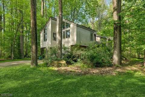 15 Pschorn Ln, Hillsborough, NJ 08844