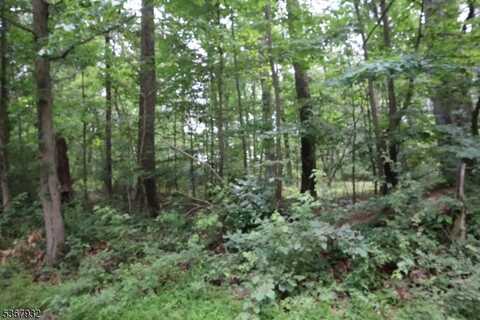 181 Mountain Road, East Amwell Twp., NJ 08551