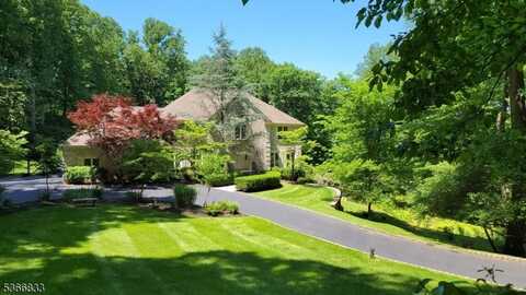 51 Twin Brooks Trl, Chester, NJ 07930
